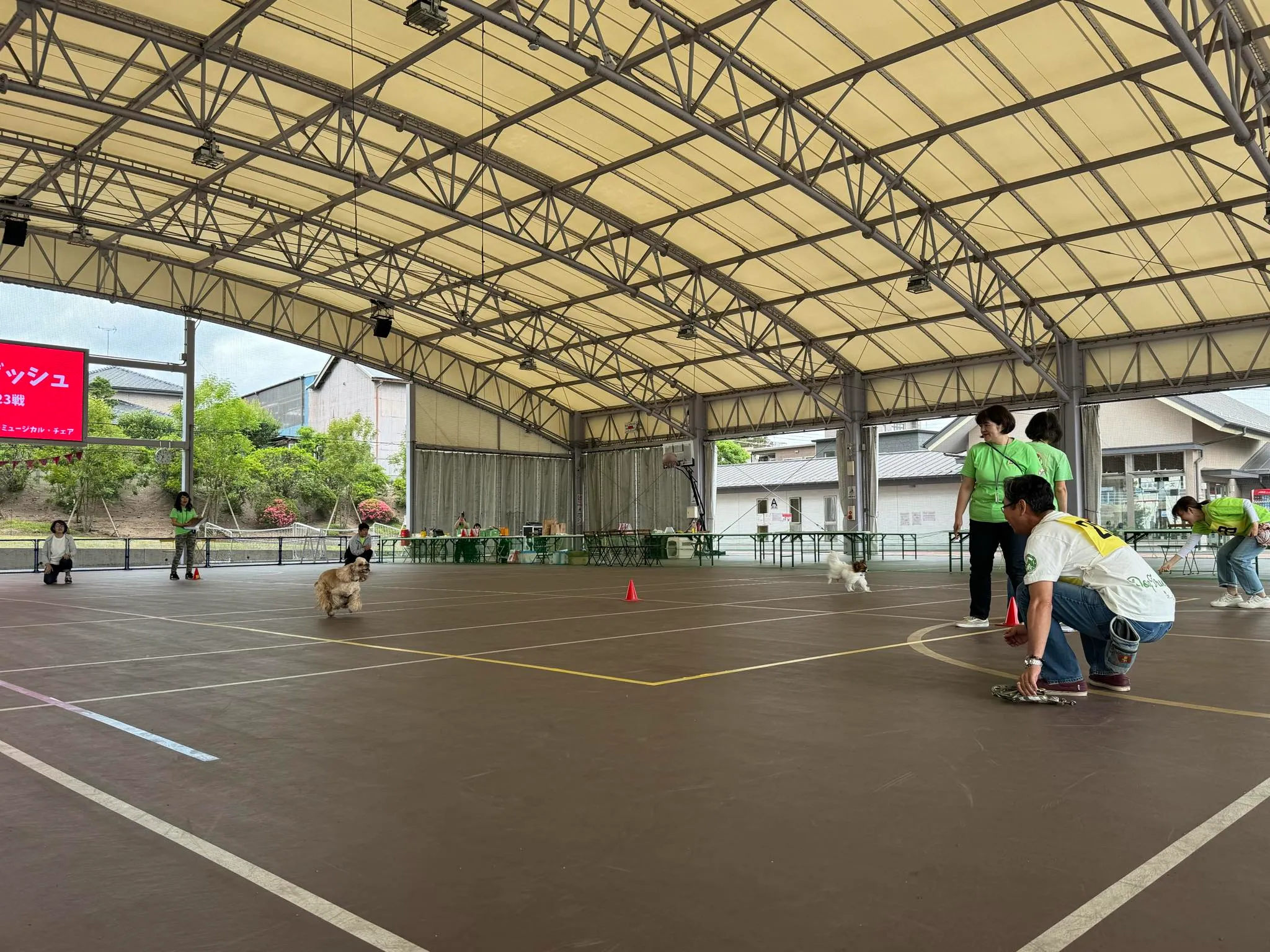 K9ゲームドギーダッシュ