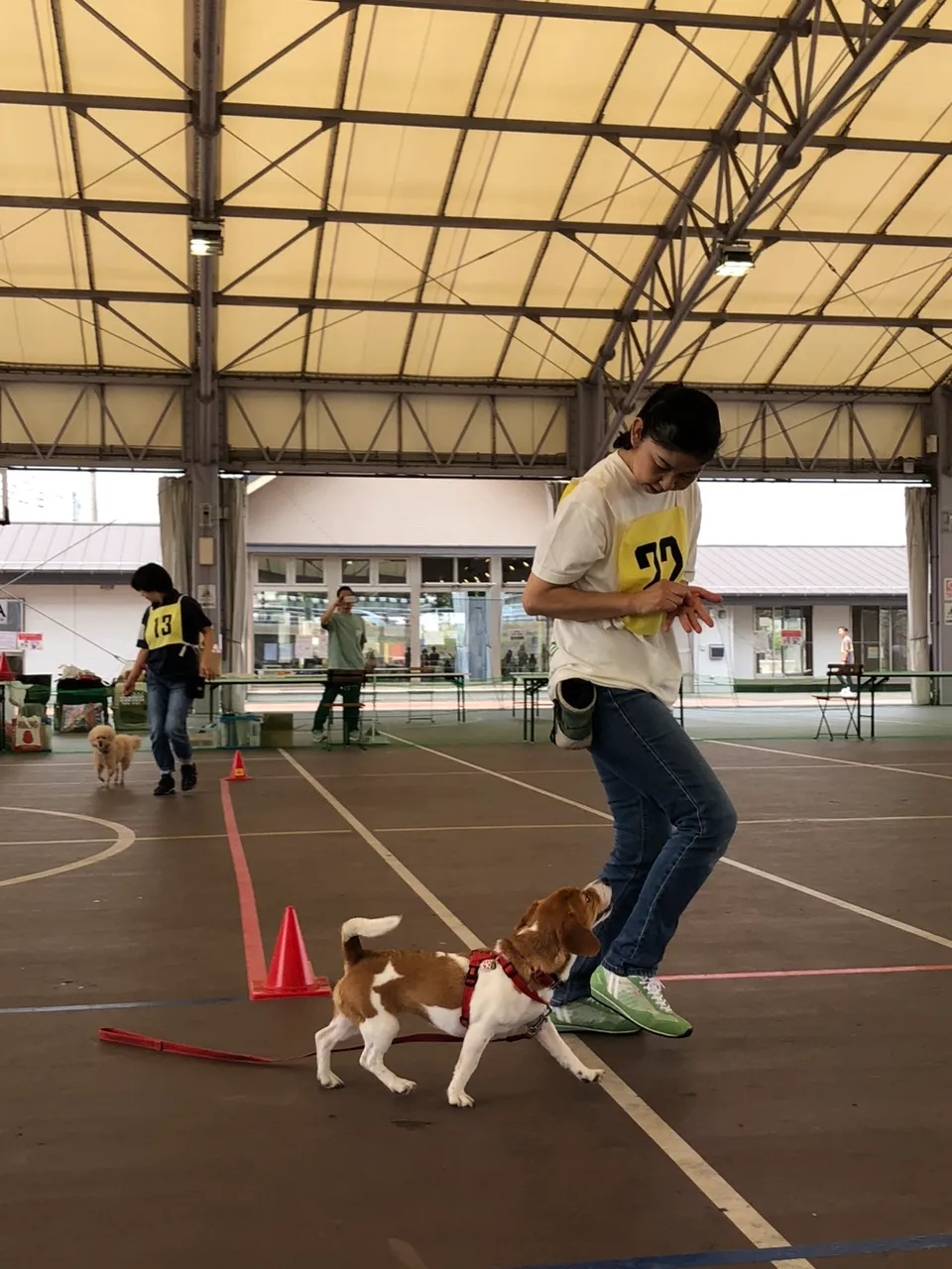 K9ゲームミュージカルチェア