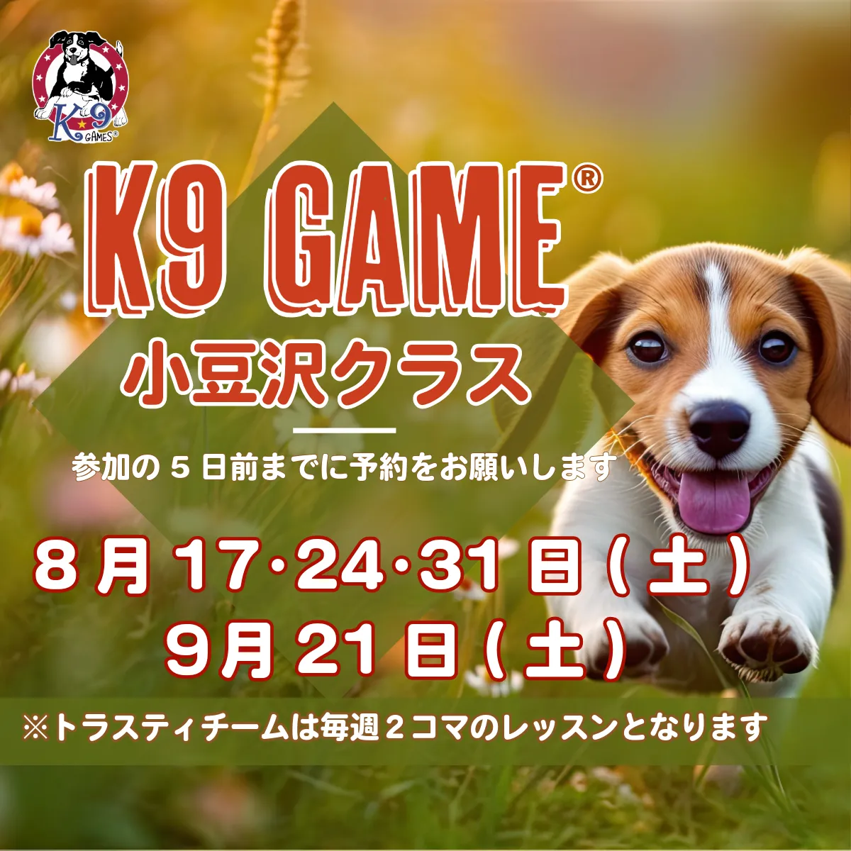 K9ゲーム小豆沢レッスン日
