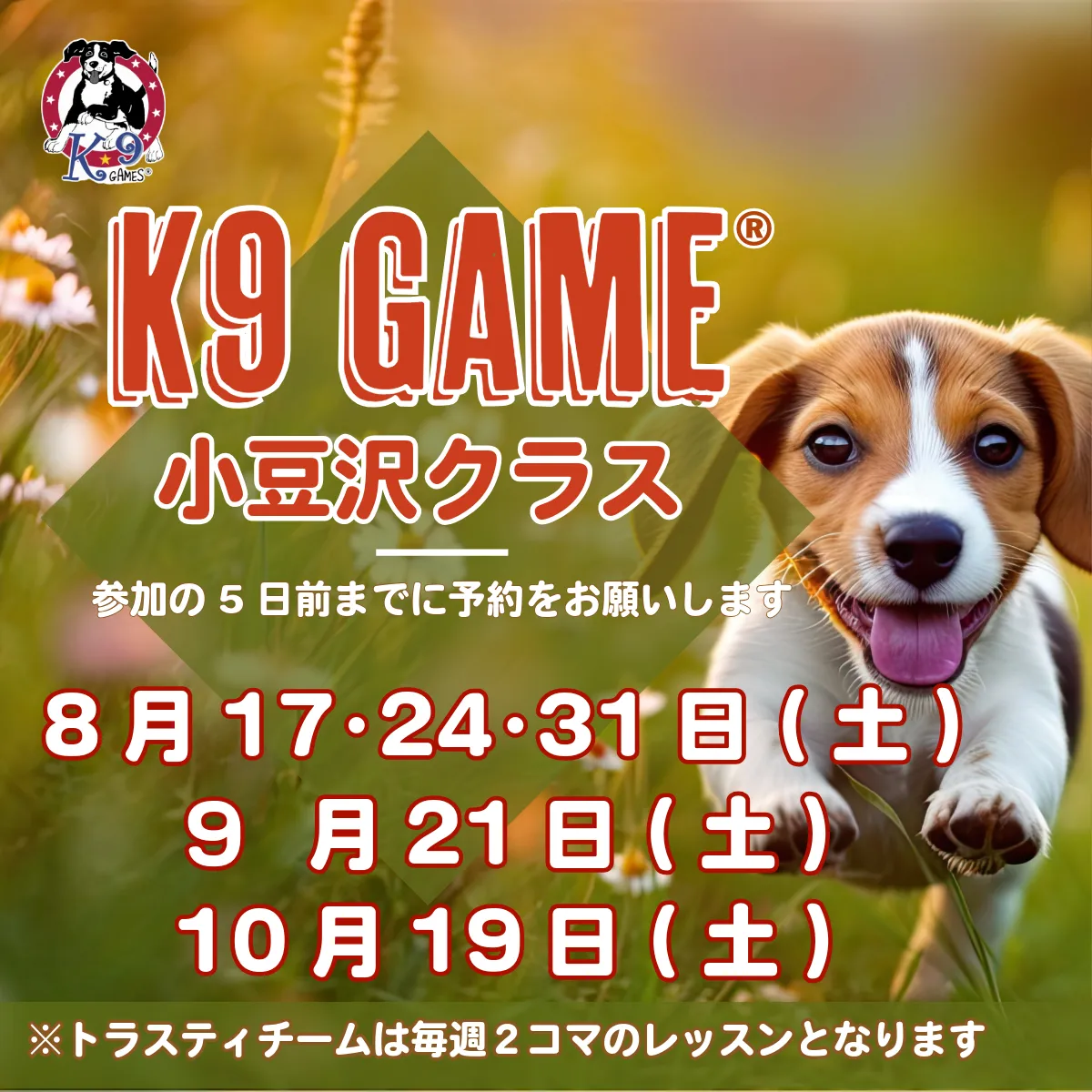 K9ゲーム小豆沢レッスン日