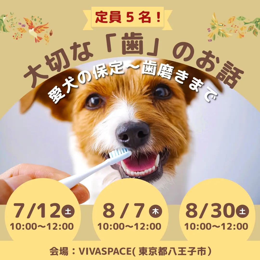 セミナー報告