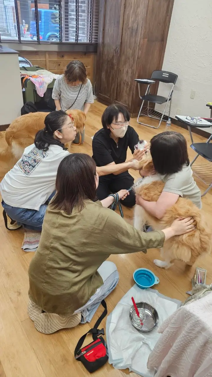 歯磨きセミナー