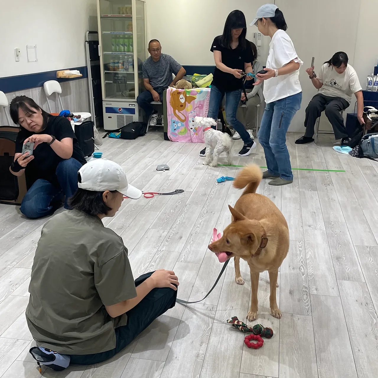 K9ゲームワークショップ