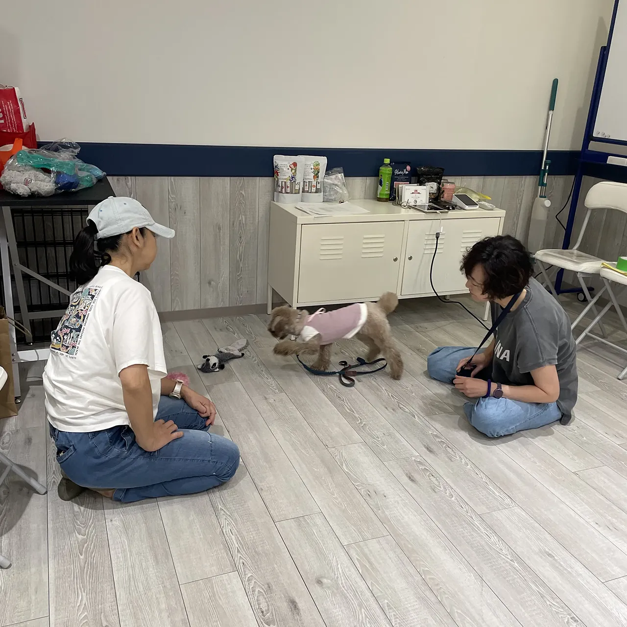 K9ゲームワークショップ