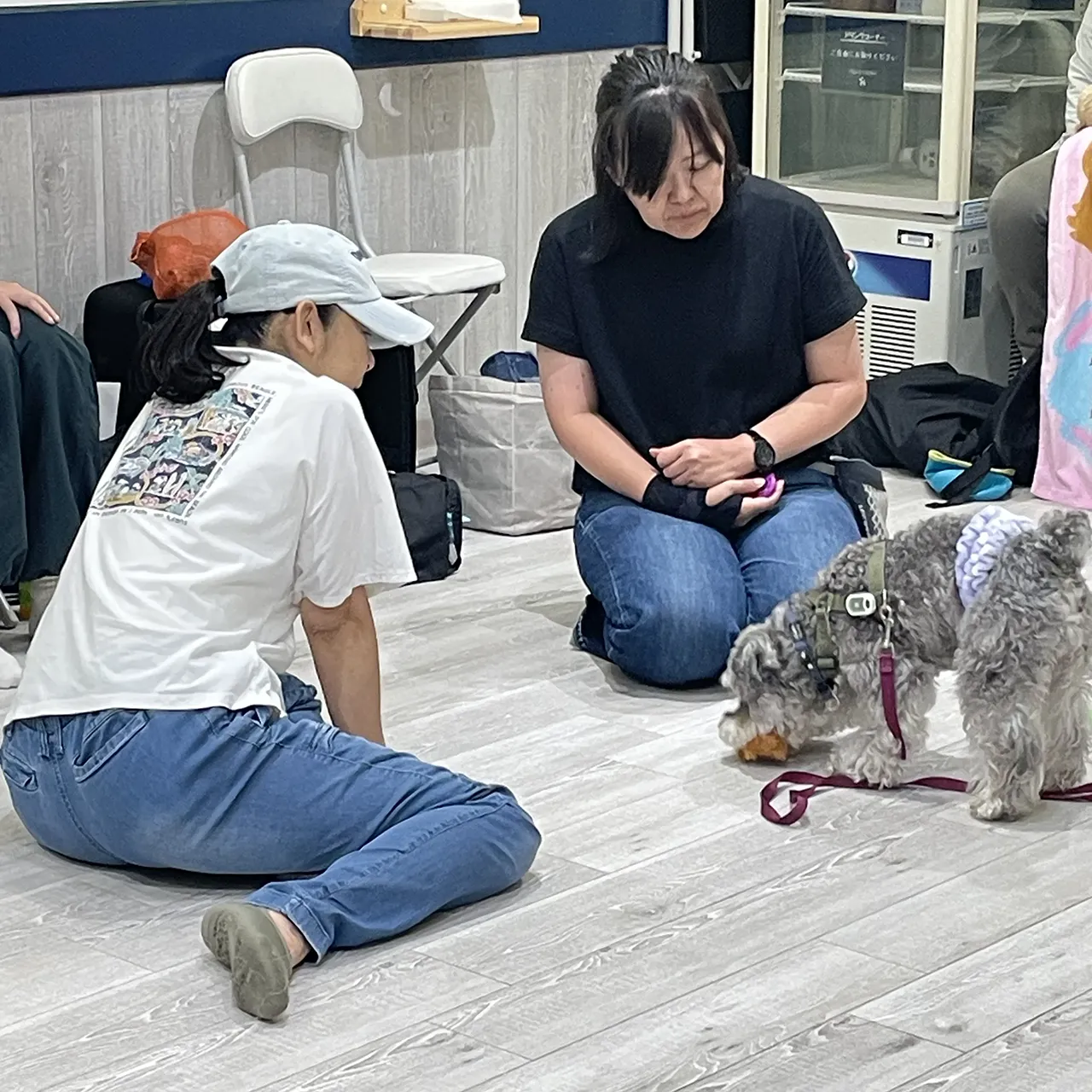 K9ゲームワークショップ