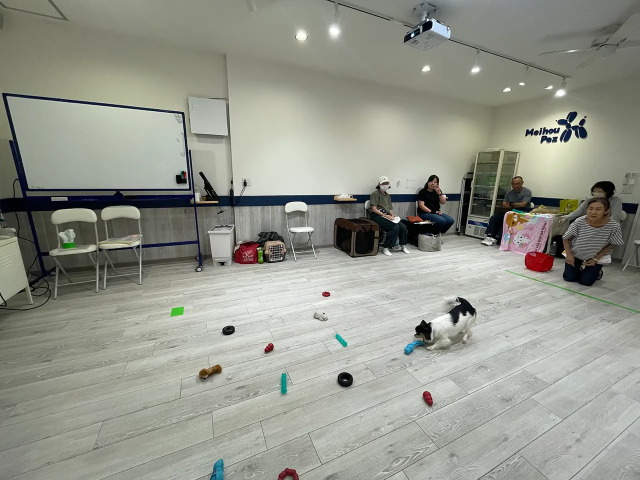K9ゲームワークショップ