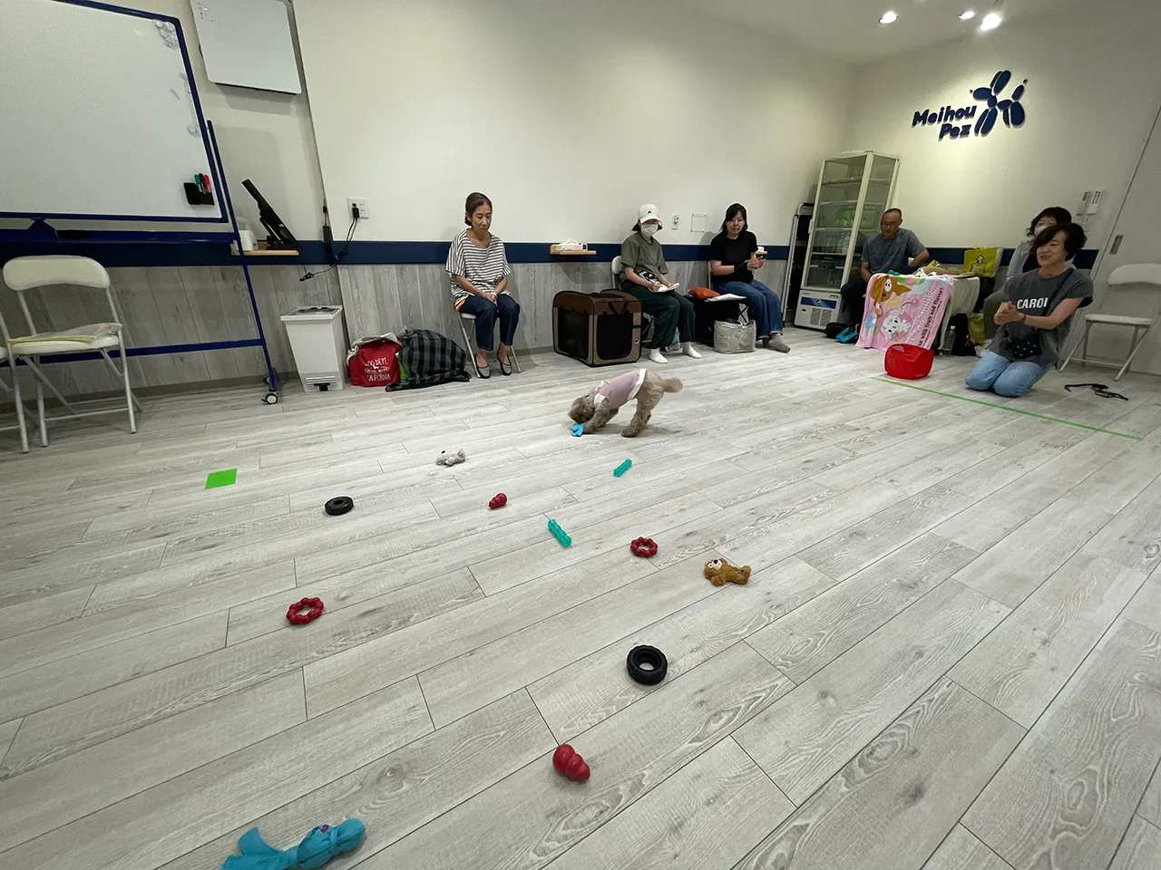K9ゲームワークショップ