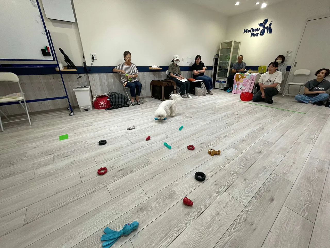 K9ゲームワークショップ