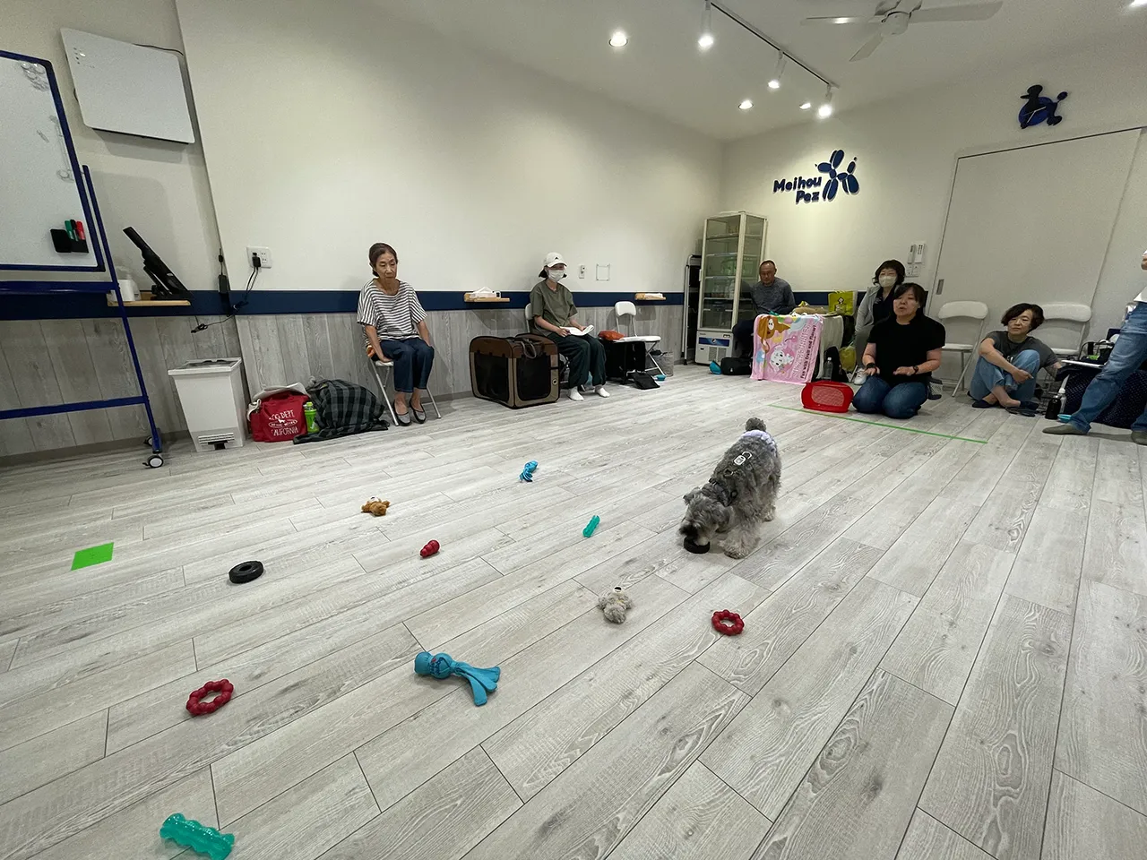 K9ゲームワークショップ