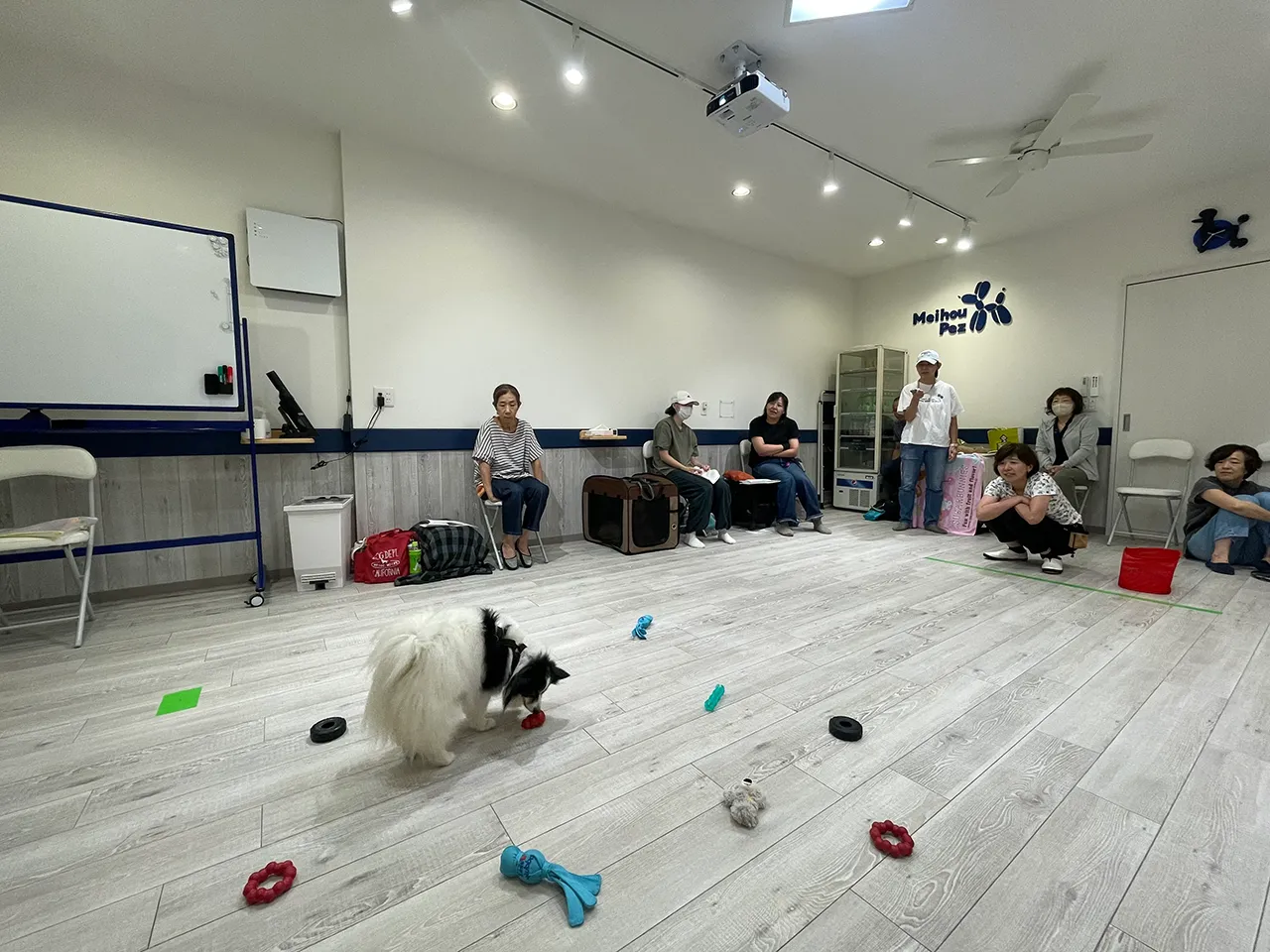 K9ゲームワークショップ