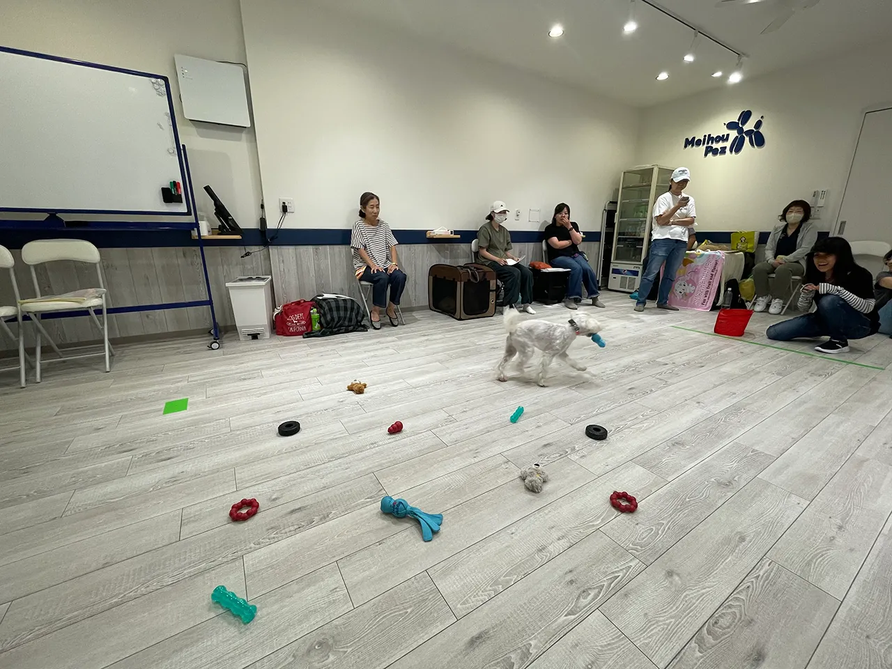 K9ゲームワークショップ
