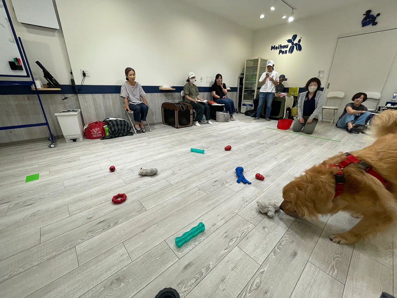 K9ゲームワークショップ