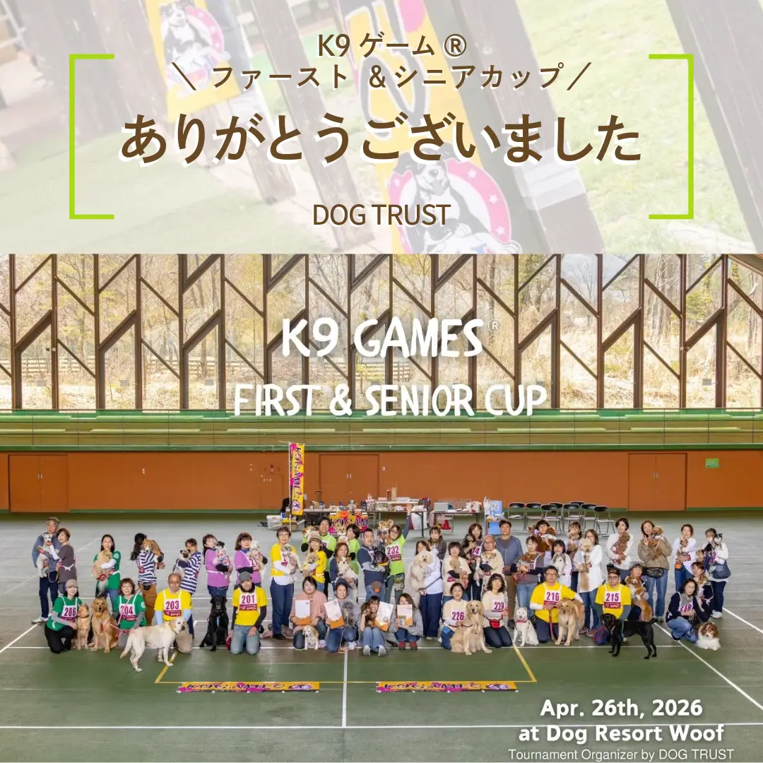 K9ゲーム終了報告