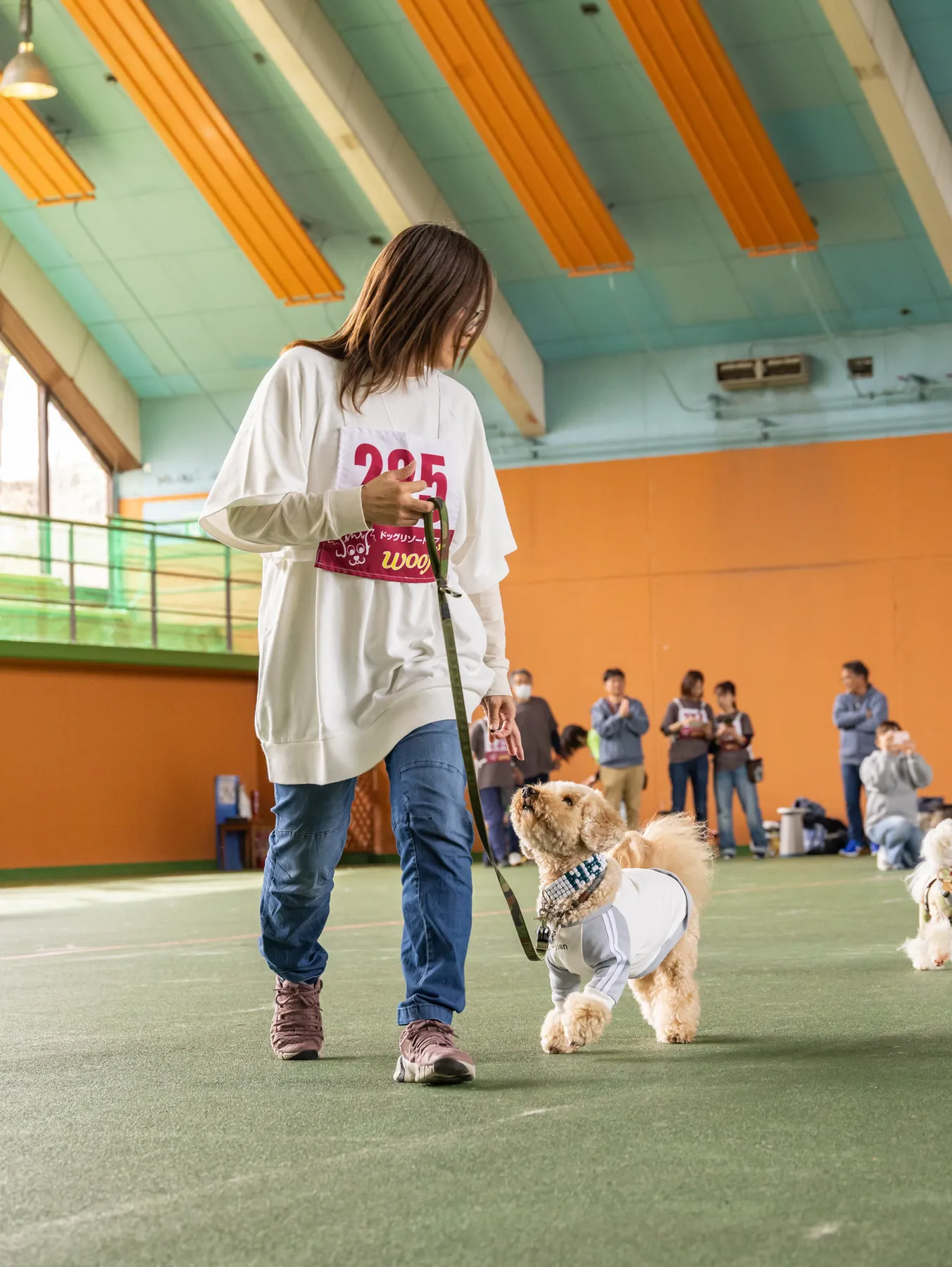 K9ゲーム DOG OF THE DAY賞_ディランペア