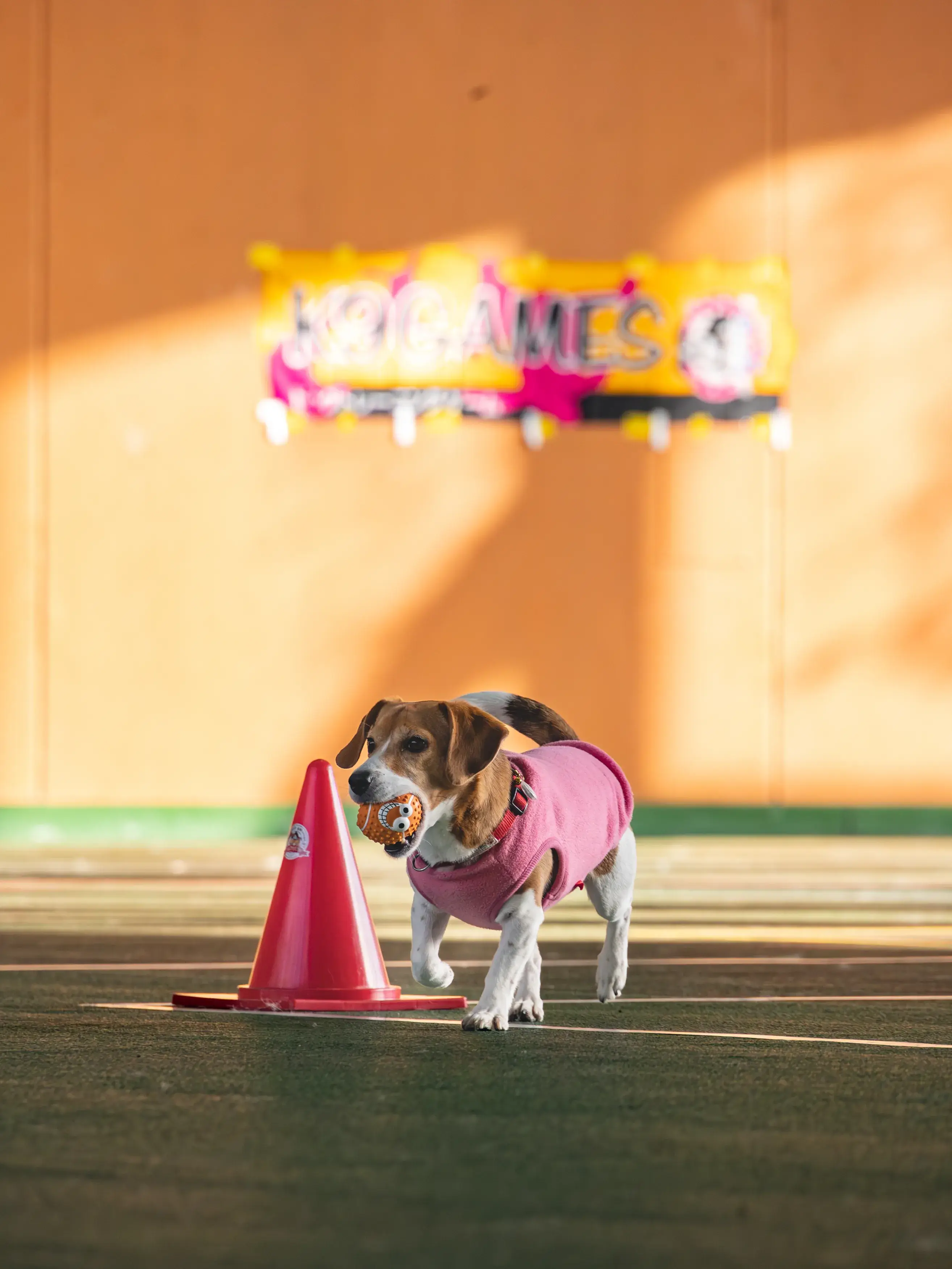 K9ゲーム