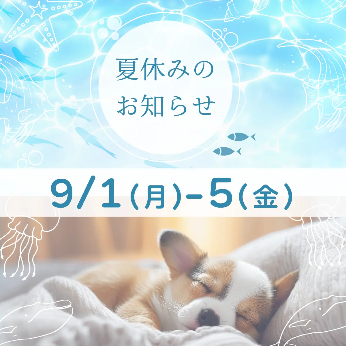 DOGTRUSTお休みのお知らせ