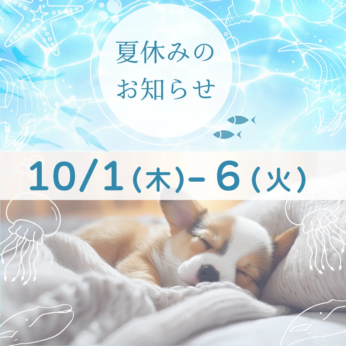 2026年夏休み