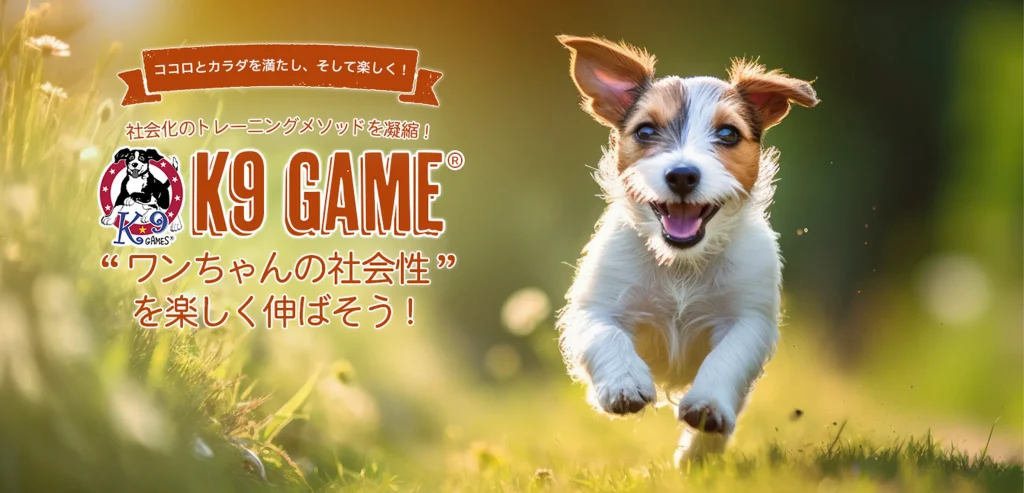 K9ゲーム