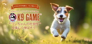 K9ゲーム