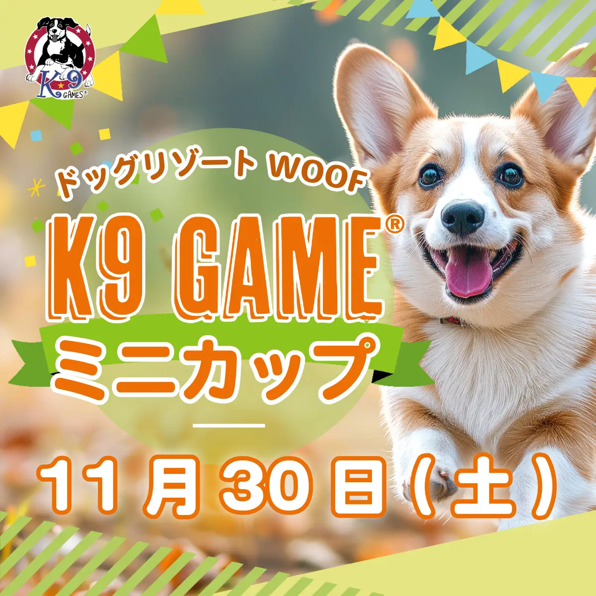 K9ゲーム®︎ミニカップinドッグリゾートWoof